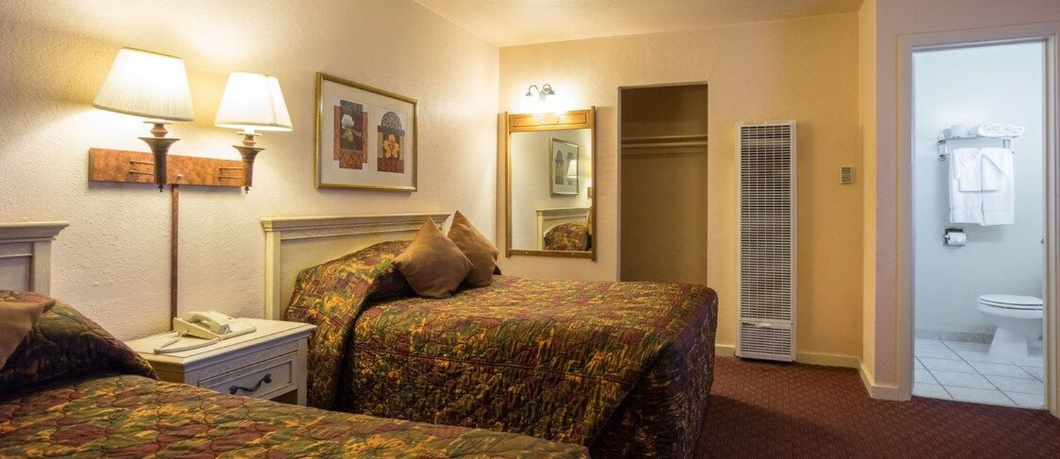 STAY IN ELEGANT AND COMFORTABLE GUEST ROOMS